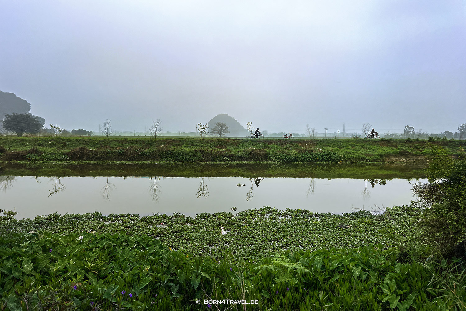 Van Long Wetland Nature Reserve,Vietnam2025,born4travel.de