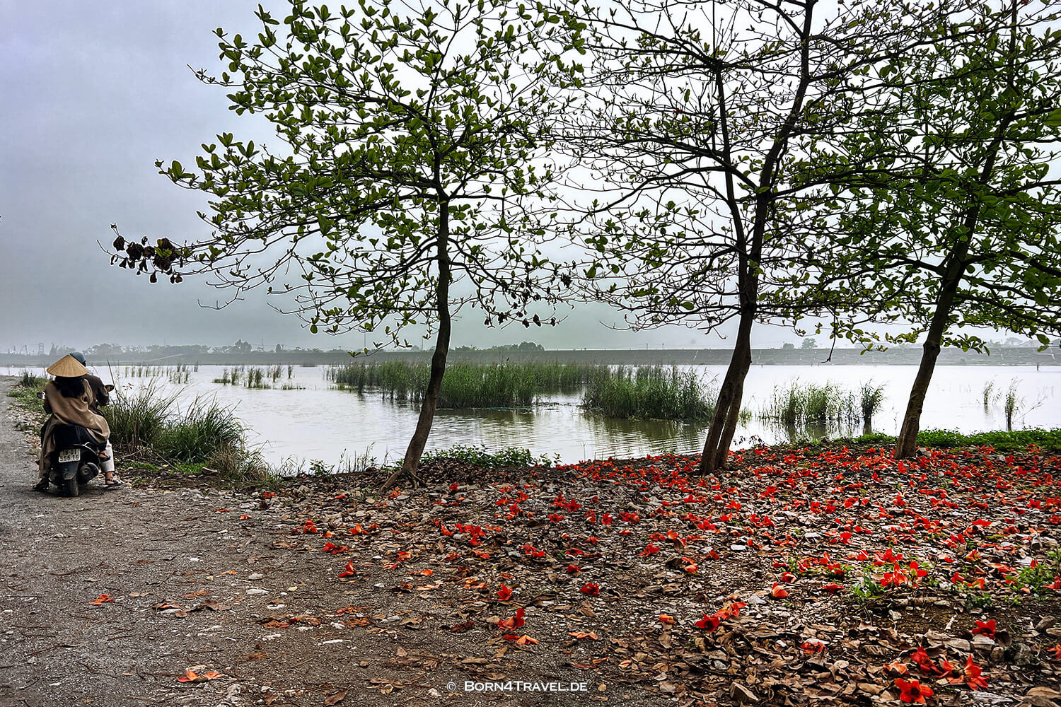 Van Long Wetland Nature Reserve,Vietnam2025,born4travel.de